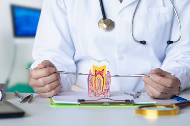 Best Emergency Dentist for Knocked-Out Tooth in Port St Lucie, FL